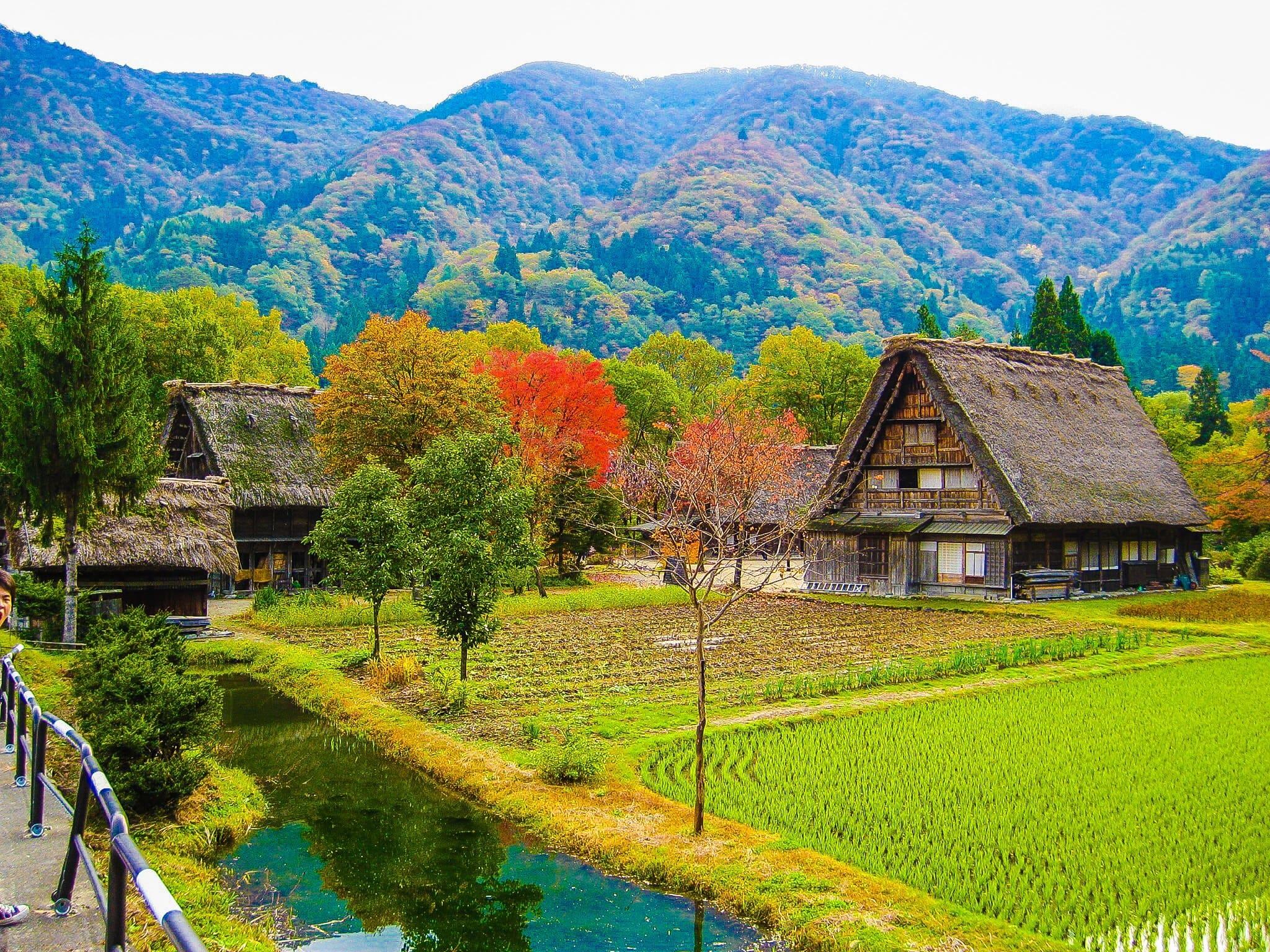 白川郷 秋の合掌村
