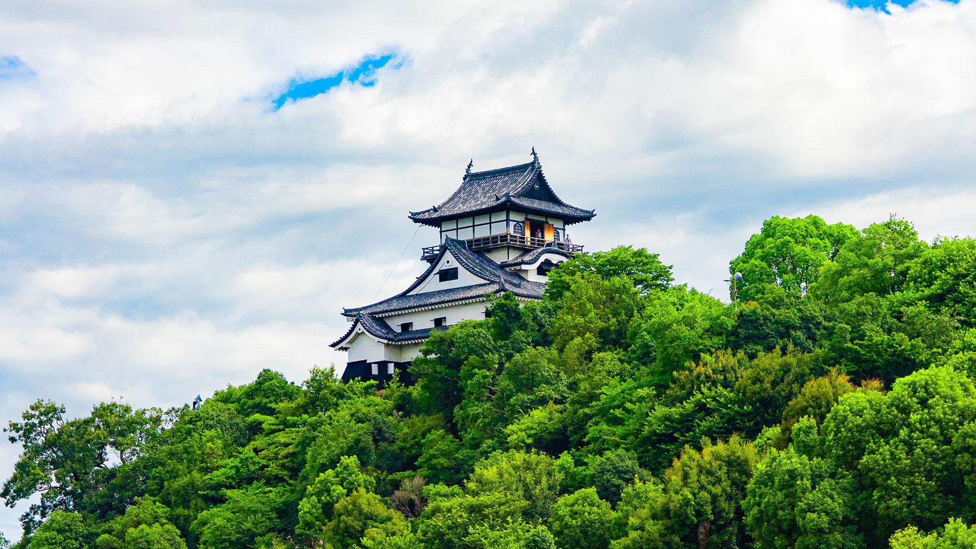 犬山城 緑の山上